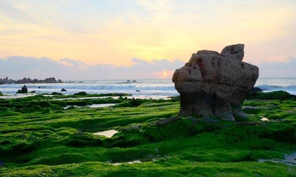 Bãi biển Cổ Thạch (Bình Thuận) 'hút' khách bởi vẻ đẹp như trong truyện cổ  tích - Địa danh Bình Thuận - Du lịch Bình Thuận