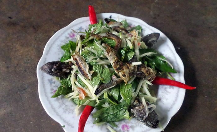 Ẩm thực Bình Thuận ( tỉnh Lâm Đồng ) : Cẩm nang toàn diện khám phá mỹ vị Miền cát trắng 4 dông cát Bình Thuận - ẩm thực Bình Thuận